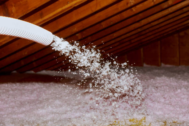 Best Professional Insulation Contractor  in West Sacramento, CA