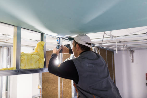 Best Home Insulation Services  in West Sacramento, CA