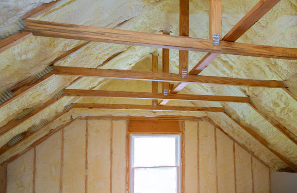 Best Local Insulation Services  in West Sacramento, CA