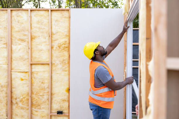 Best Insulation Replacement Services  in West Sacramento, CA