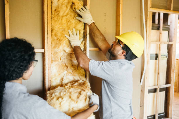 Best Fiberglass Insulation  in West Sacramento, CA