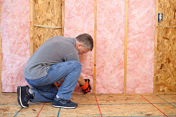 Best Wall Insulation Contractor  in West Sacramento, CA
