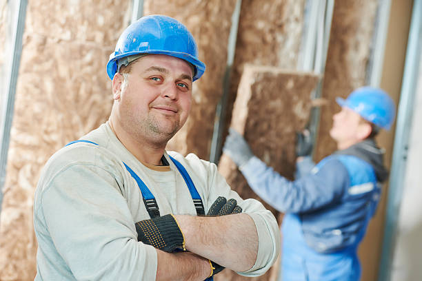 Best Energy-efficient Insulation  in West Sacramento, CA