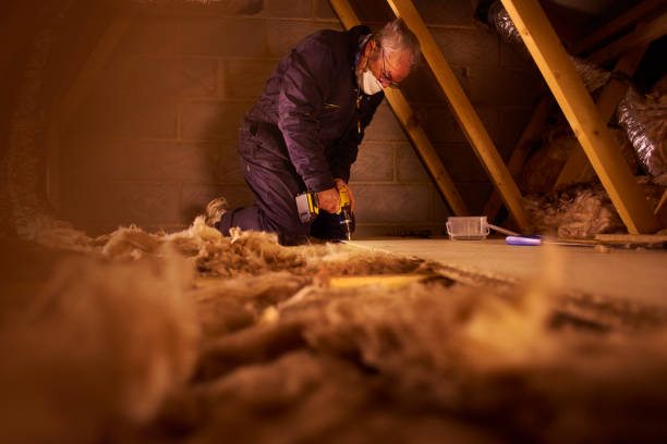Insulation Inspection Services in West Sacramento, CA